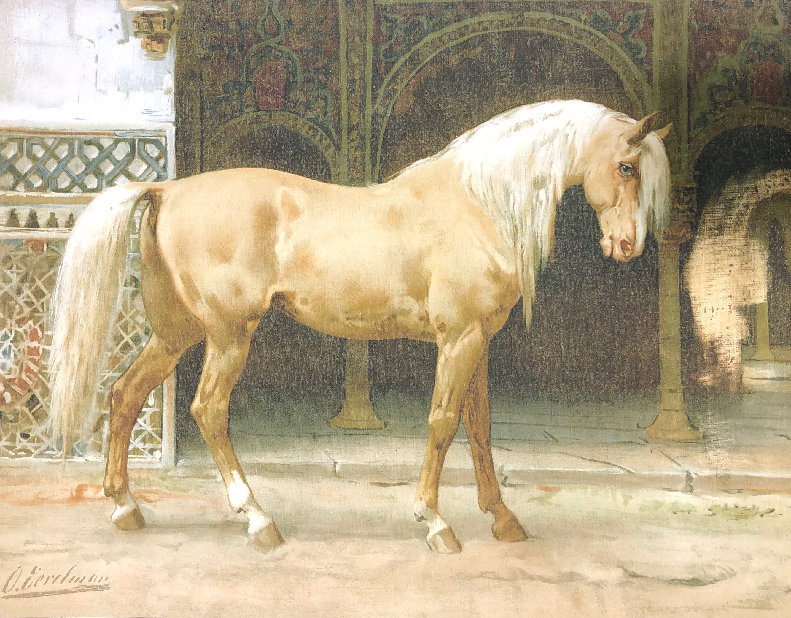Andalusian Horse